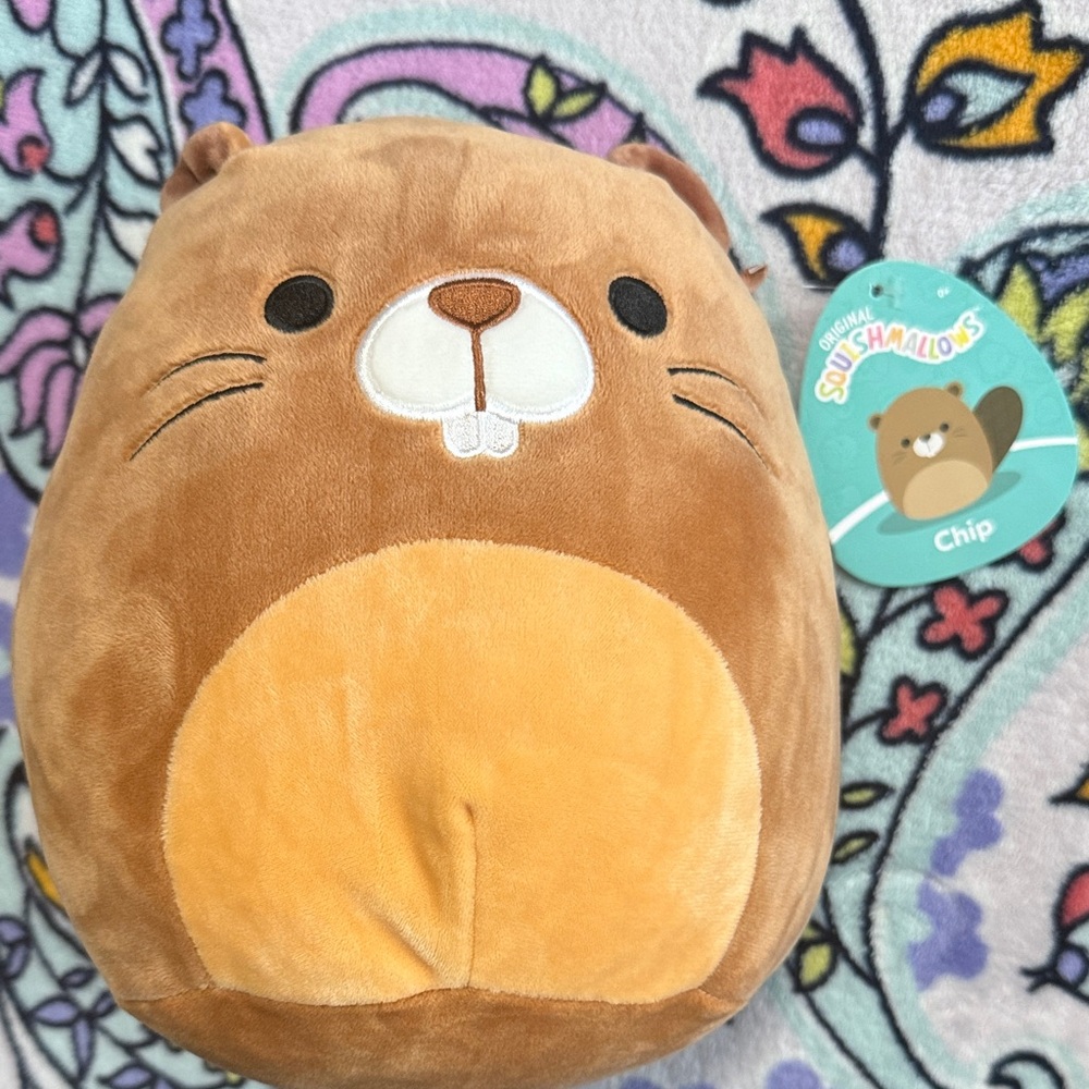 7.5” Squishmallows chip the Beaver Plush